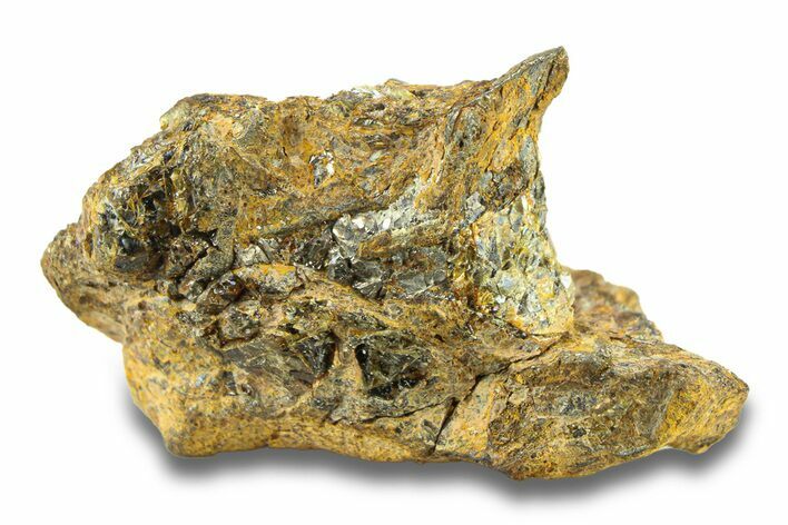 Pallasite Meteorite ( g) - NWA #281420